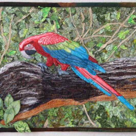Macaw: Confetti and inktense pencils Sold