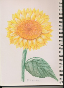 Day 14: Sun - watercolour pencil, no water....