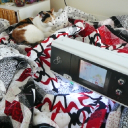 Quilting - my cat always found the newest quilt to lie on....