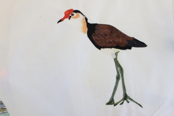Jacana thread sketched ready for trapunto
