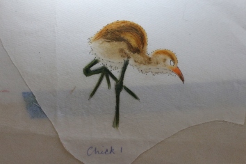 Jacana chick sketched on fabric with inktense pencils and fabric medium