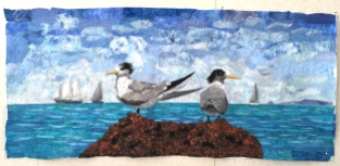Nearly completed.... watching the Brisbane to Gladstone race getting underway... although the crested terns are not too interested!